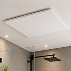 Plafond panelen